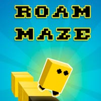 play Roam Maze game