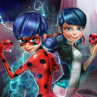 play Ladybug Secret Mission game