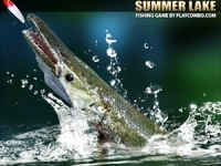 play Summer lake game