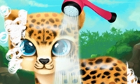 play Paws to Beauty Baby Beast game