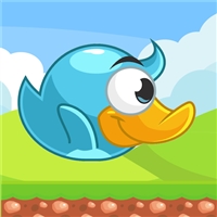 play Baby Bird flies in the Sky game