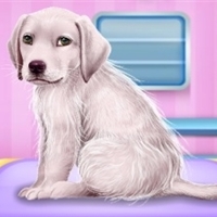 play Labrador at the Doctor Salon game