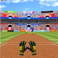 play Cricket Fielder Challenge Game game