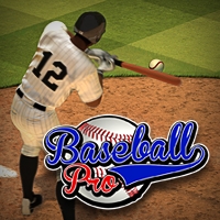 play Baseball Pro Game game