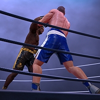 play Ultimate Boxing Game game