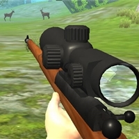 play Hunter 3D game