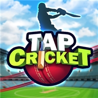 play Tap Cricket game