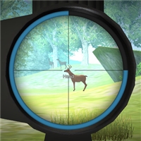 play Hunter Training game