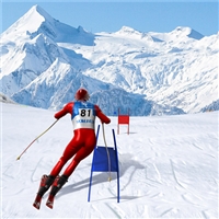 play Slalom Ski Simulator game