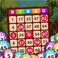 play Bingo King game