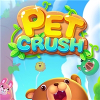 play Pet Crush game
