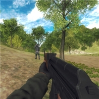 play Army Combat game