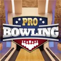 play Pro Bowling 3D game