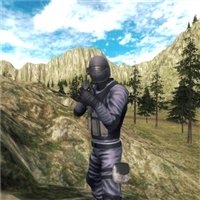play Special Forces game
