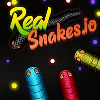 play Real Snakes.io game