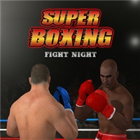 Super Boxing Fight Night