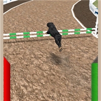 play Dog Racing Simulator game
