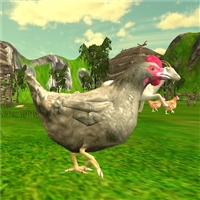 play Chicken Shooter game