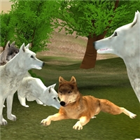 play Wild Wolves Hunger Attack game