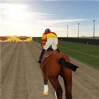 play Horse Ride Racing game