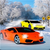play Snow Track Racing 3D game