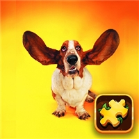 play Funny Dogs Puzzle game