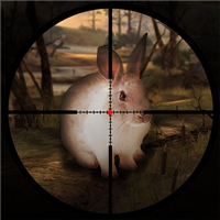 play Classical Rabbit Sniper Hunting 2019 game