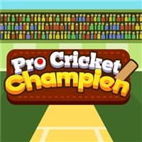 play Pro Cricket Champion game