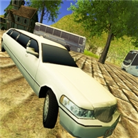 play Limousine Driver game