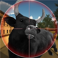 play Bull Shooting game