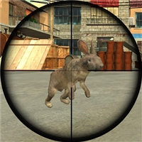 play Rabbit Shooter game