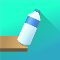 play Flip Bottle game