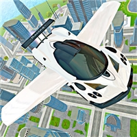 play Flying Car Real Driving game