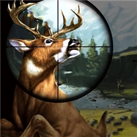 play Deer Hunter game