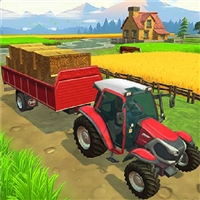 play Farming Town game