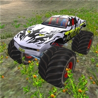 play Monster Truck Driver game