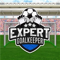 play Expert Goalkeeper game