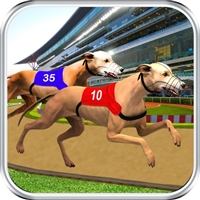 play Dog Race Sim 2020: Dog Racing Games game