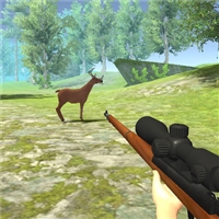 play Big Game Hunting game