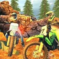 play Offroad Motorcycle Bike Racing 2020 game