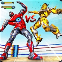 play Robot Ring Fighting Wrestling Games game