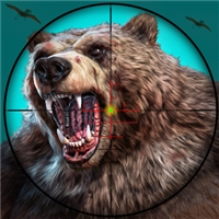 play Wild Bear Hunting Game game