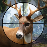 play Sniper Stag Hunter game