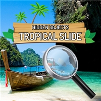 play Hidden Objects Tropical Slide game