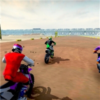 play Super MX The Champion game