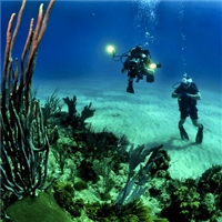 play Underwater Hidden Numbers game