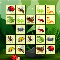 play Connect The Insects game