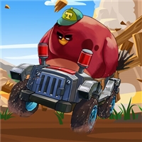 play Crazy Birds Kart Hidden Stars game