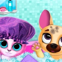 play Cute Pet Friends game