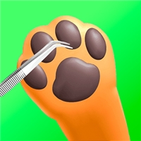 play Paw Care game